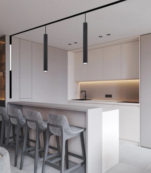 den-led-ray-nam-cham-tu-tinh-gan-tran-tha-hanging-spotlight-10w-chieu-roi-chip-osram-h30cm-vo-den-cao-cap-hg-50300-1