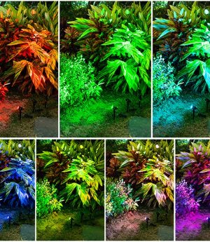 den-led-cam-co-san-vuon-co-mu-goc-chieu-30-do-blue-green-red-chong-nuoc-ip66-trang-tri-cao-cap-dtt-dk-smd65-1