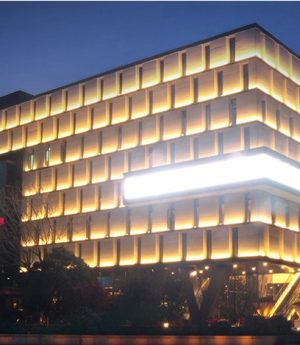 den-led-thanh-chieu-tuong-ngoai-troi-220v-30cm-50cm-1m-chong-nuoc-ip65-cao-cap-dtt-lt06-6