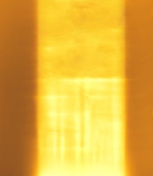 den led thanh chieu tuong toa nha ngoai troi doi mau rgb blue green red ip65 cao cap dtt lt12x2 8