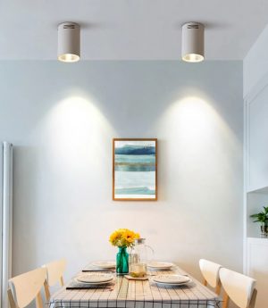 den-led-op-tran-noi-spotlight-tan-quang-tron-7w-12w-goc-chieu-30-do-cao-cap-trang-tri-hien-dai-dtt-0b01-1