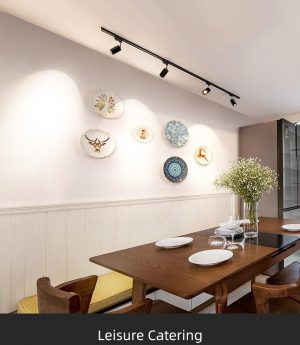 den led roi gan thanh ray cob tan quang cao cap 10w 20w 30w 6500k 3000k 4000k vo den vo trang dtt md tl12 9