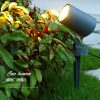 Đèn LED cắm cỏ hắt cây 12/24V/220V trang trí sân vườn ngoại thất hiện đại chống nước ip66 cao cấp DTT-CCNDCC80 - Ảnh 3