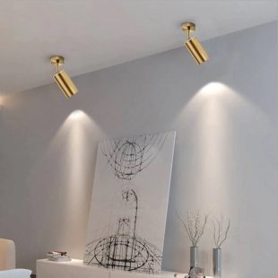 den-led-spotlight-xoay-goc-360-do-gan-tran-chieu-tranh-chieu-guong-noi-that-hien-dai-vo-vang-dtt-spl10v-1