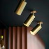 Đèn LED spotlight xoay góc 360 độ gắn trần chiếu tranh chiếu gương nội thất hiện đại vỏ vàng DTT-SPL10V - Ảnh 2