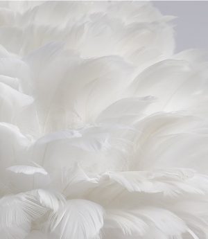 den-ban-phong-ngu-long-vu-cao-cap-led-e27-chieu-sang-trang-tri-dau-giuong-khach-san-chung-cu-biet-thu-kieu-dang-bac-au-hien-dai-dtt-db2116-1