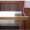 Đèn LED treo trần thả bàn ăn thủy tinh cao cấp trang trí quán cafe nhà hàng kiểu dáng tối giản Bắc Âu hiện đại DTT-DC9457 - Ảnh 3
