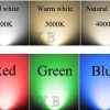 Đèn LED cắm cỏ sân vườn 6w cao cấp BLUE/GREEN/RED chống nước IP66 trang trí hiện đại vỏ GOLD/BLACK DTT-DKL85 - Ảnh 2