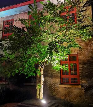 den-led-chieu-cay-2-day-doi-mau-rgb-220v-12v-24v-trang-tri-ngoai-troi-hien-dai-chong-nuoc-ip65-cao-cap-dtt-cc2d95-10