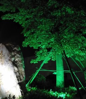 den-led-hat-cay-mat-vuong-chong-nuoc-ip66-cao-cap-blue-green-red-trang-tri-ngoai-that-hien-dai-dtt-dk160-2