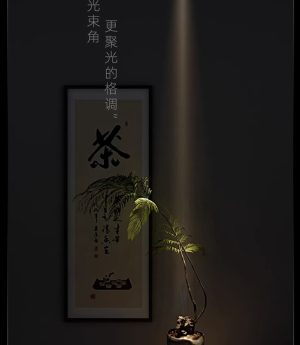 den-led-spotlight-op-noi-goc-chieu-nho-8-15-do-xoay-goc-chieu-diem-trang-tri-hien-dai-dtt-obs04-7