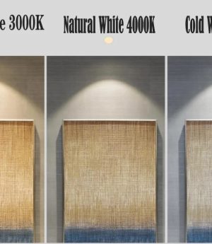 den led am tran chong nuoc spotlight chinh goc 20 do chieu diem 10w trang tri ip65 cao cap dtt dwl1831 3