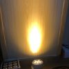 den-led-roi-cay-ngoai-troi-cao-cap-trang-tri-san-vuon-hien-dai-ip65-dtt-tdl04-3