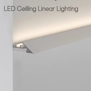 thanh-nhom-gan-tran-loai-mong-den-led-day-12v-cao-cap-dtt-cs-g12-4